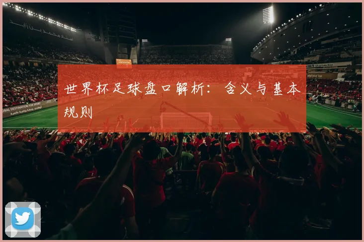 世界杯足球盘口解析：含义与基本规则