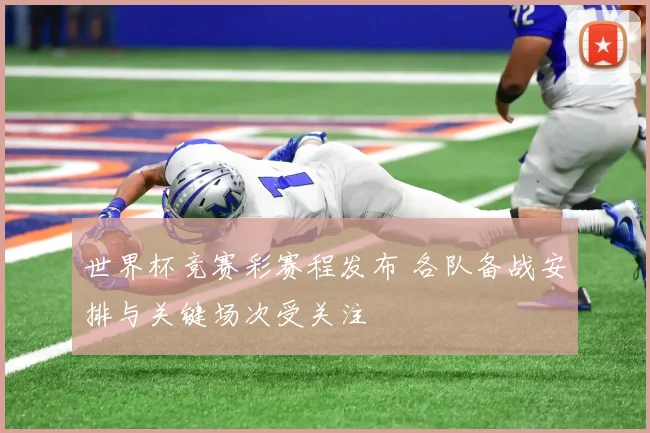 世界杯竞赛彩赛程发布 各队备战安排与关键场次受关注