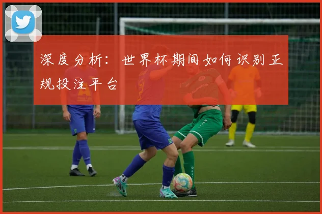 深度分析:世界杯期间如何识别正规投注平台