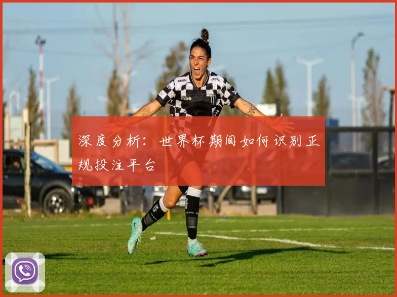 深度分析：世界杯期间如何识别正规投注平台