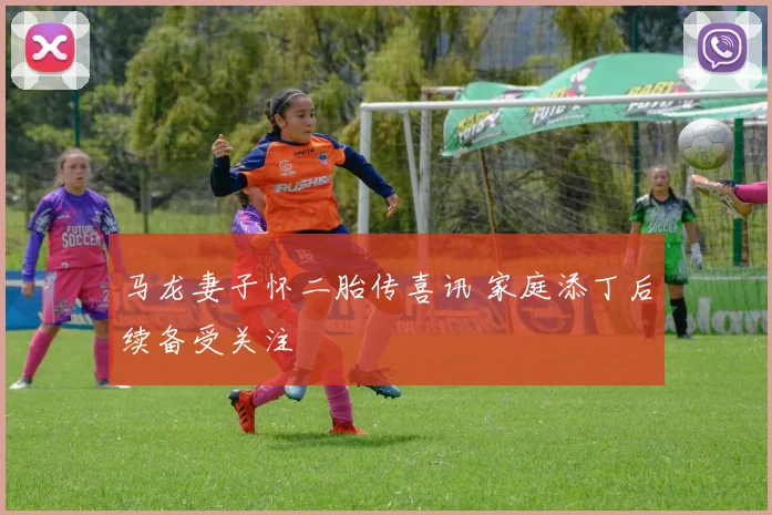 马龙妻子怀二胎传喜讯 家庭添丁后续备受关注